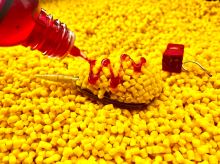 LK Baits Dip CUC Special 35 ml (3)