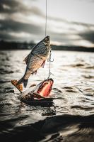 Savage Gear Gumová Nástraha 3D Line Thru Roach Slow Sinking Glitter Bream (4)