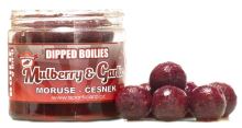 Sportcarp Boilies v Dipe Dipped Boilies 200 ml 20 mm - Mulberry Garlic