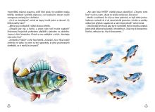 Kniha Kaprík Metlík a nádej (4)