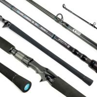 Sportex Prút Black Arrow G-4 Musky Baitcast 2,6 m 260-420 g Sportex Prút Black Arrow G-4 Musky Baitcast 2,6 m 260-420 g