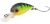 Spro Wobler Trout Master Wobbla Firetiger 3,7 cm 2,1 g