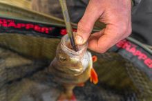 Korum Vyslobodzovač Disgorger Specimen (6)