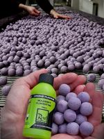 LK Baits Boilies Original Mulberry Florentine Rod Hutchinson 1 kg 20 mm (1)