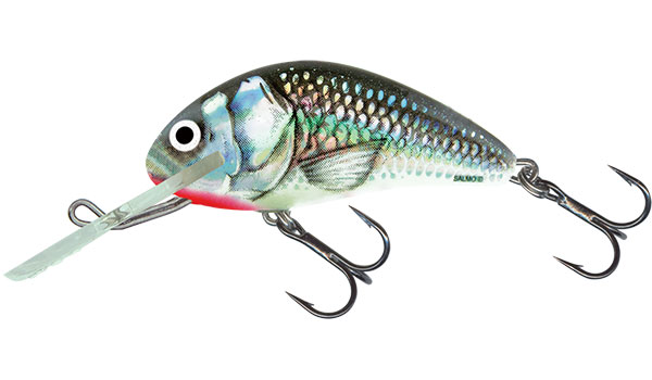 Salmo wobler hornet floating holographic grey shiner-5 cm 7 g