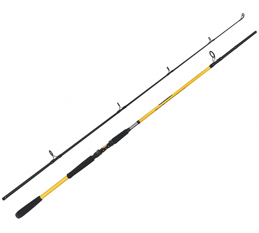 Zfish prút kodiak 2,4 m 100-250 g