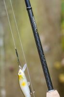 Zebco Prút Trophy X Spin 2,2 m 5-28 g 2-Diel (6)
