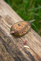 Korum Krmítko Camo Grub Feeder L (4)