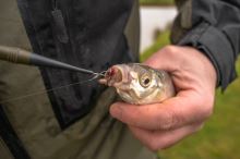 Korum Vyslobodzovač Disgorger Specimen (4)