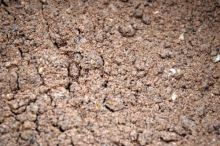 Jet Fish Boilie Mix Zmes Seafood (1)