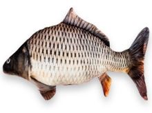 BeCare Vankúš Kapor Šupináč