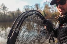 Zebco Podberáková Hlava Folding Spoon 26" Latex 60x50 cm (5)