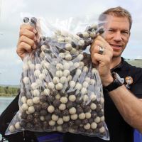 Imperial Baits Boilies Carptrack Crawfish (4)