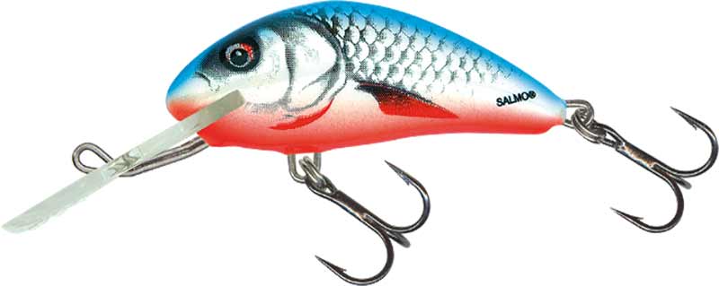 Salmo wobler hornet sinking dace blue - 2,5 cm