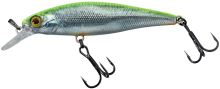 Illex Wobler Squad Minnow SP RT Visible Roach - 9,5 cm 14 g