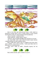 Kniha Kaprík Metlík v rieke (3)