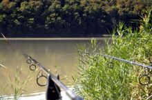 Sportex Prút Revolt Carp 3,6 m 2,75 lb (6)