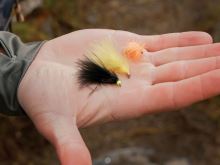 Delphin Sada Umelých mušiek FLY Pond Trout 10 ks (9)