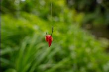 Korum Háčiky Xpert Maggot Barbless (3)