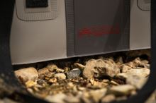 Fox Rage Taška Pro Series Welded Bag XL (16)