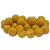 TB Baits Boilie Scopex Squid (1)