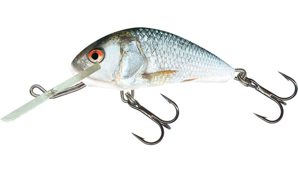 E-shop Salmo wobler hornet floating real dance-4 cm 3 g