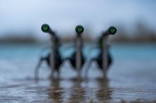 Korda Prút Kaizen Green 12 ft 4 lb (5)