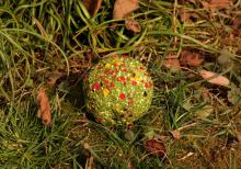 Mivardi Krmítková Zmes V1 Kapor 2,85 kg - Amur (3)