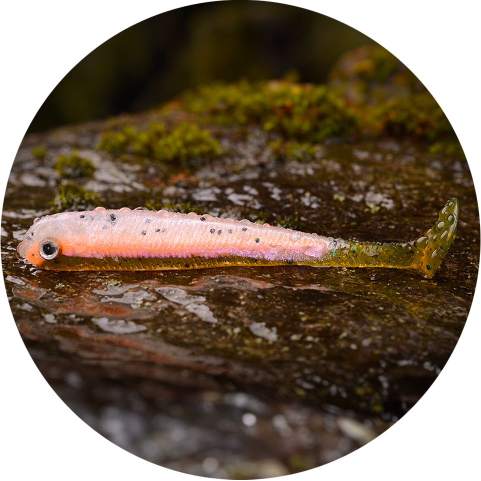 Redbass gumová nástraha ripper swimmer slim rainbow trout uv - s 70 mm