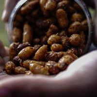 Munch Baits Nakladany Tigrí Orech Jumbos in Cola 450 ml (1)