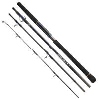 Daiwa Prút Saltiga Air Portable 2,5 m 80-125 g