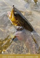 ČRS Nástenný Rybársky Kalendár Na Rok 2024 (4)