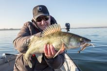 Fox Rage Gumová Nástraha Loaded Slick Shad UV Lemon Tiger (2)