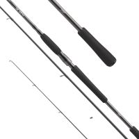 Daiwa Prút Pro Staff  3.05m 14-42g (2)