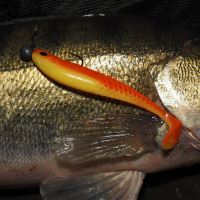 Berkley Gumová Návnada Cullshad Slim Brown Perch (11)