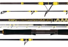 Black Cat Prút Passion Pro DX Spin 2,7 m 200 g (1)