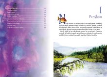 Kniha Kaprík Metlík a nádej (1)