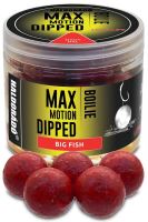 Haldorádó Dipované Boilies Dipped Max Motion 80 g 20 mm (5)