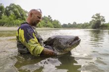 Black Cat Tričko Fishing Jersey UV (6)