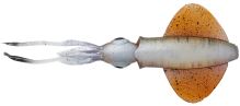 Savage Gear Swim Squid LRF Horny Squid 5 ks 5 cm 0,8 g