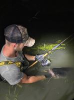 Zfish Sumcový Navijak Zeus ZX 8000 (4)