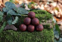 Mivardi Boilies Rapid Excellent ProActive Kaprí Guláš (3)