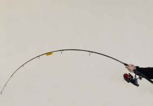 Sportex Prút Jolokia Pilk Black Edition 2,7 m 70-150 g (6)