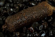 Sticky Baits Cloudy Bloodworm Liquid 1 L (1)