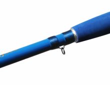 Delphin Prút Hazard 2,55 m 500 g (5)