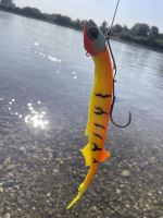 Black Cat Gumová Nástraha Cat Pelagic Firetiger 27 cm 60 g (6)