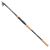 Daiwa Prút Legalis Tele Spin 3,3 m 10-50 g