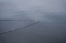 Korum Prút Limitless Feeder 14 ft 220 g (4)