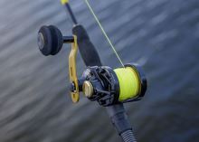 Black Cat Multiplikátor Battle Cat Vertical (7)