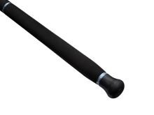 Savage Gear Prút Defiance SG2 Shore Jigging 2,9 m 15-60 g 2-Diel (4)